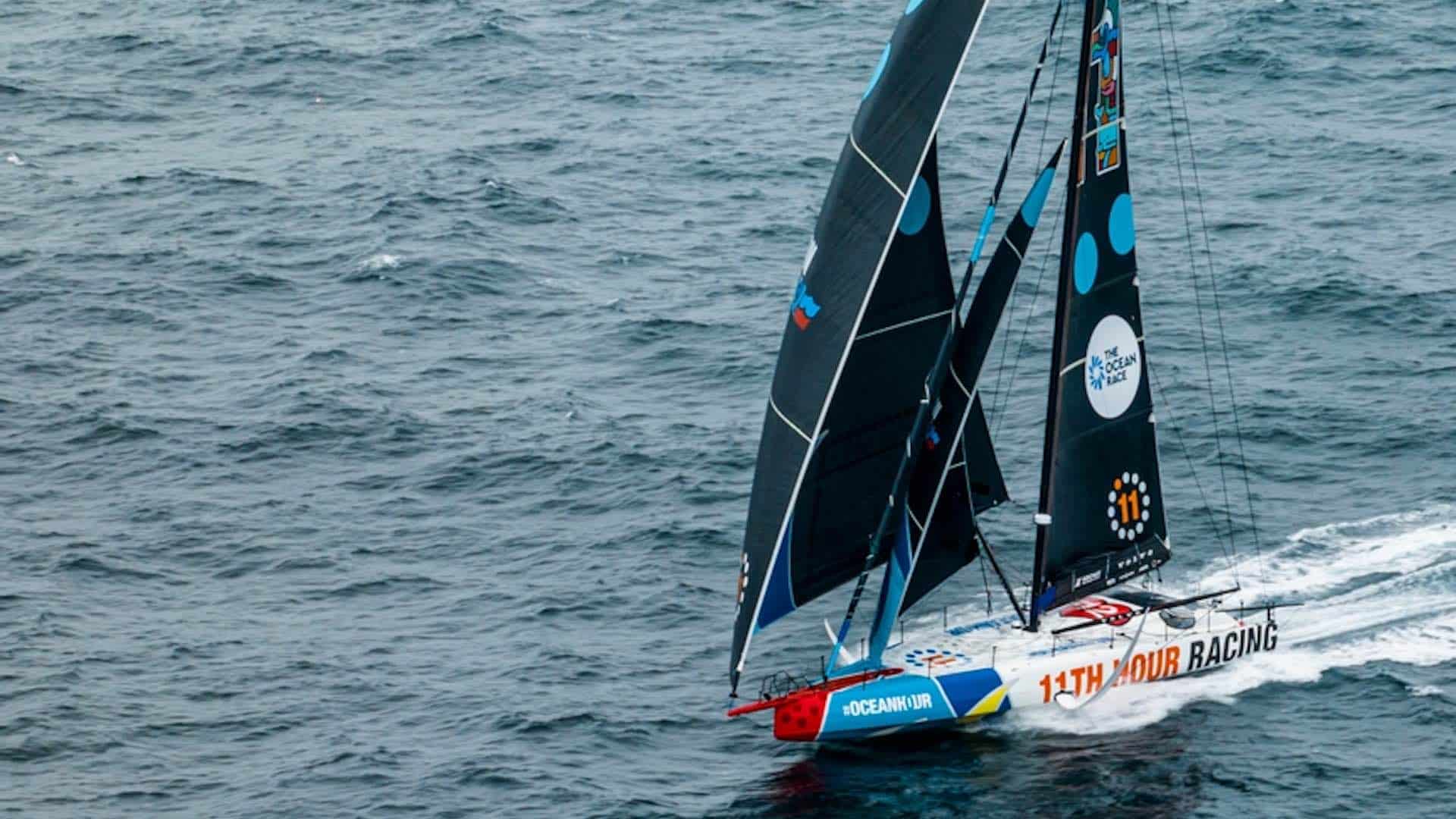 Featured image for Dramatisk kollision med val i The Ocean Race